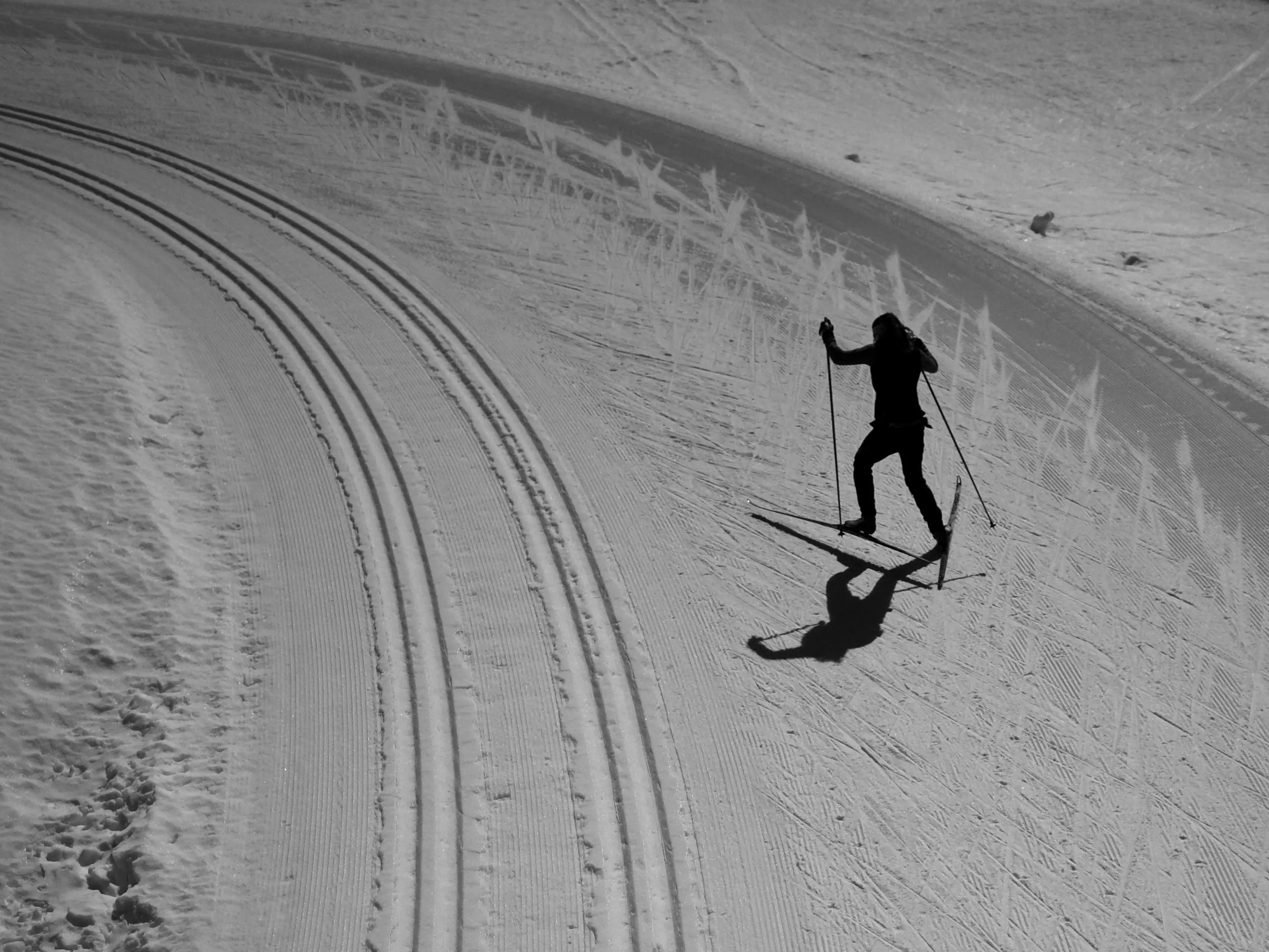 Cross-country skier gliding through a snow-covered forest landscape